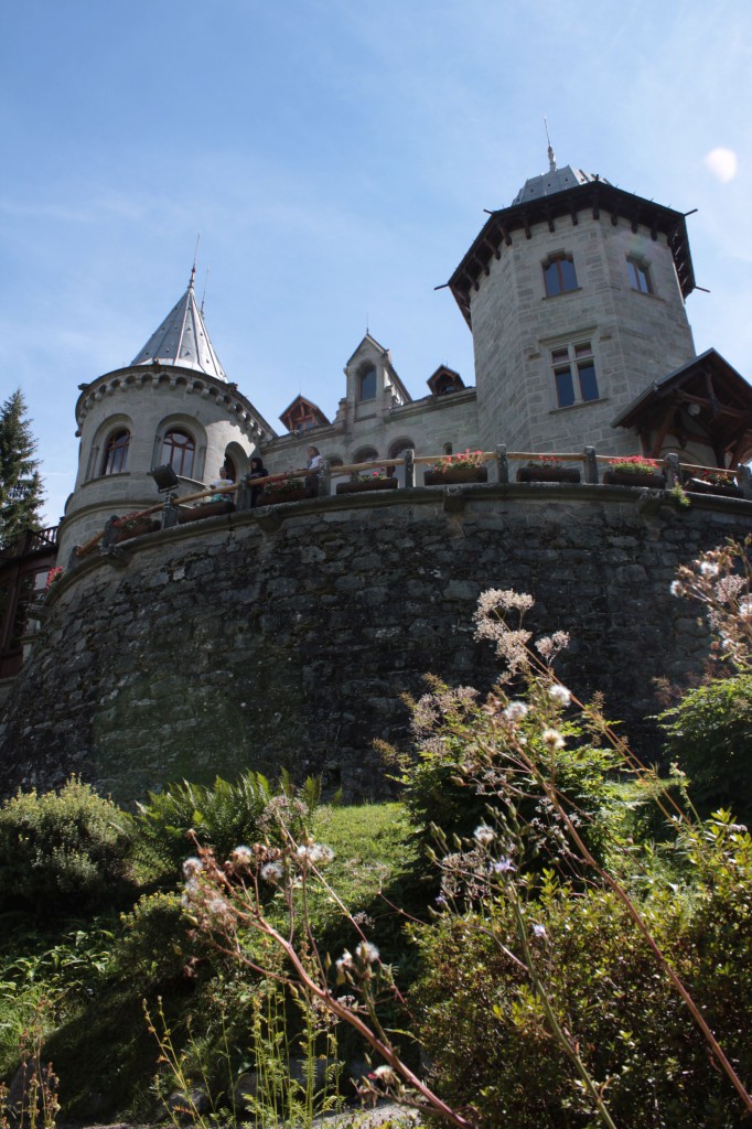 Zamek Savoia widziany z ogrodu botanicznego 