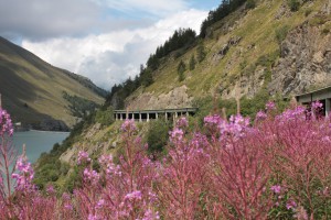 Droga na Wielką Przełęcz Świętego Bernarda po stronie szwajcarskiej. Na zdjęciu widoczny alternatywny dla przełęczy tunel oraz zapora wodna Les Toules 