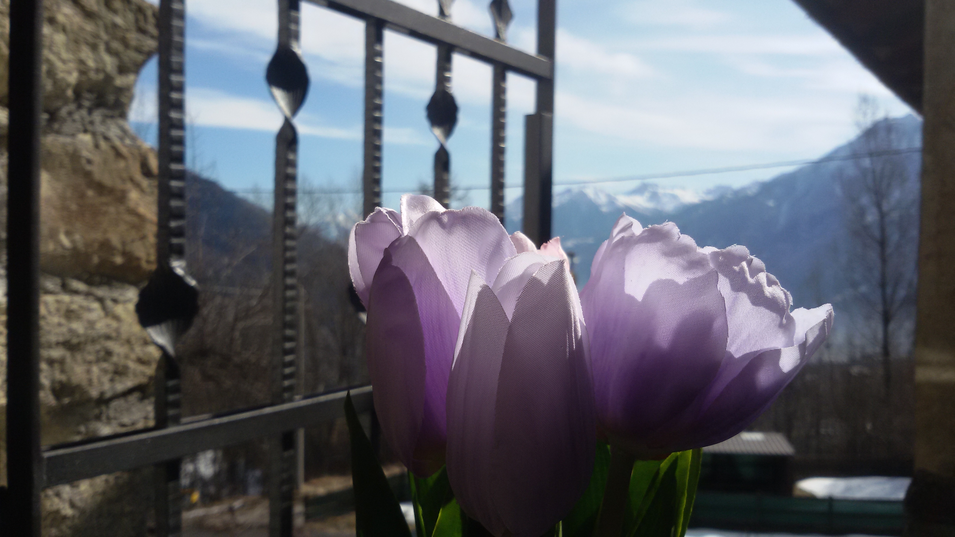 Wiosna w Alpach