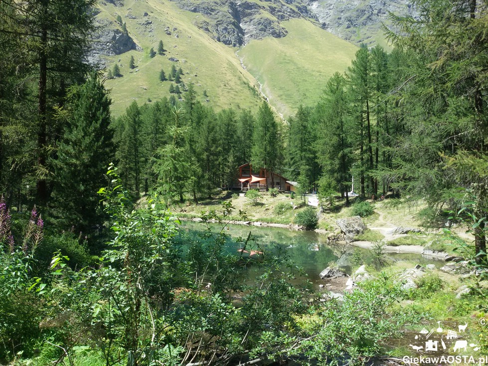 Zielona dolina Val di Rhemes
