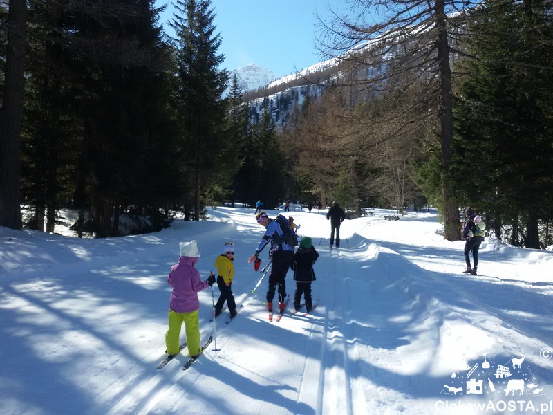 Trasa narciarska w Arpy.