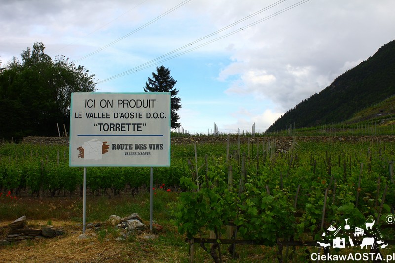 Tutaj produkuje się wino z Valle d'Aosta TORRETTE. 