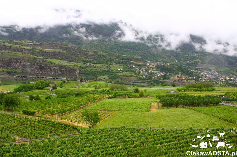 Widok na Valle d'Aosta ze szlaku winnego zwaloryzowanego w ramach projektu Vignes et terroirs Programu Włochy-Francja.